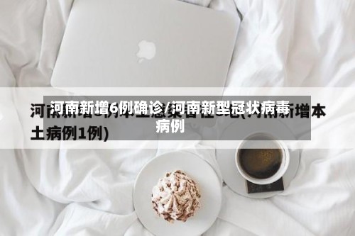 河南新增6例确诊/河南新型冠状病毒病例-第2张图片