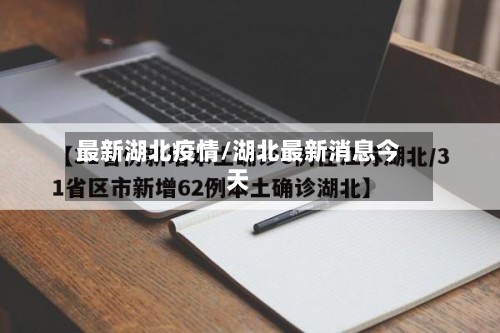 最新湖北疫情/湖北最新消息今天-第2张图片