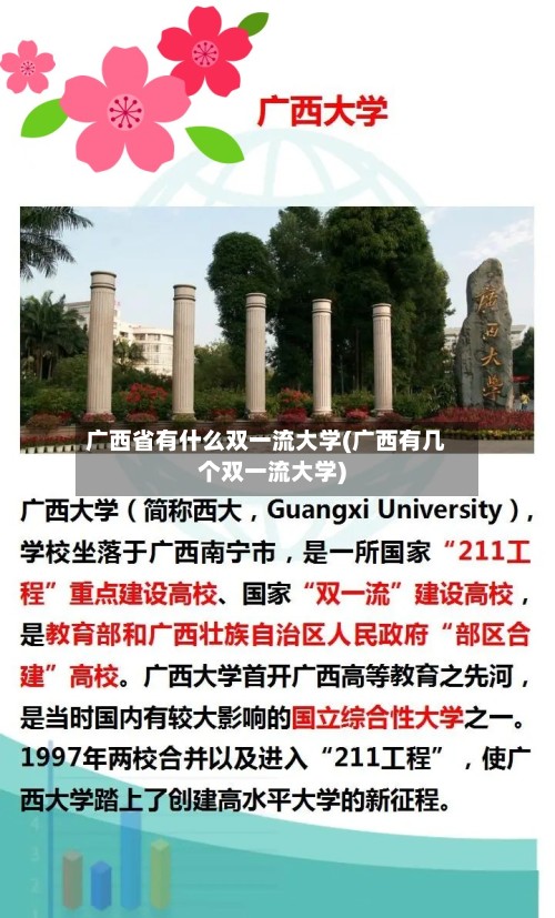 广西省有什么双一流大学(广西有几个双一流大学)