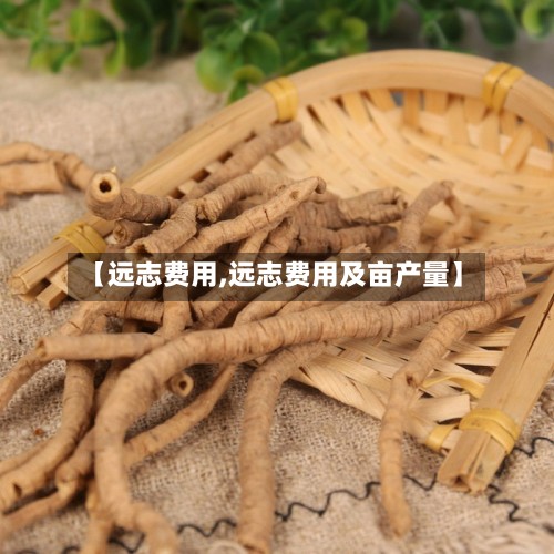 【远志费用,远志费用及亩产量】-第2张图片