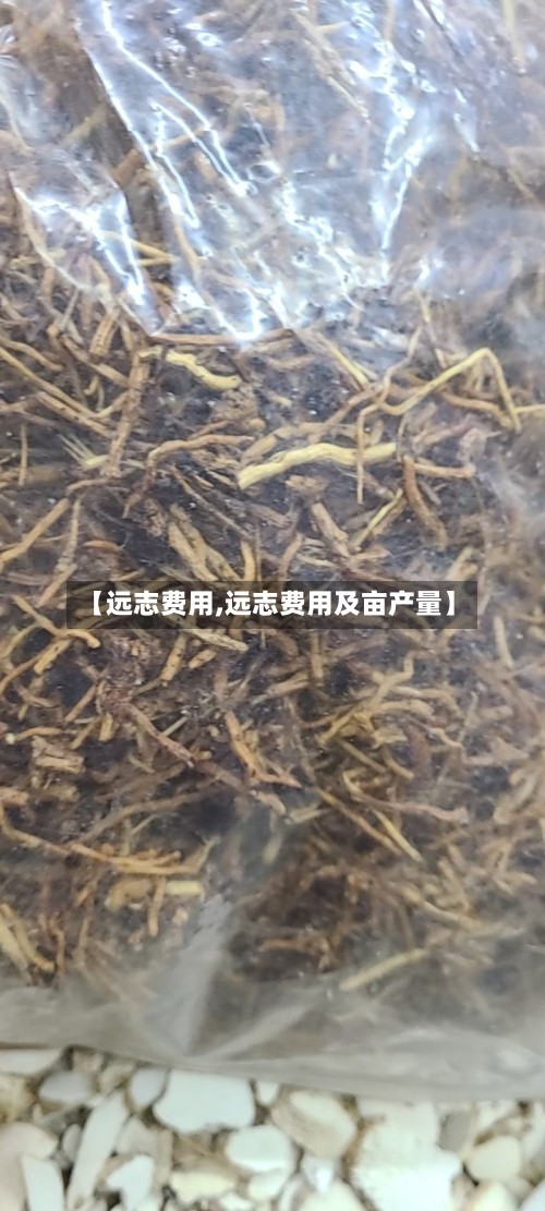 【远志费用,远志费用及亩产量】