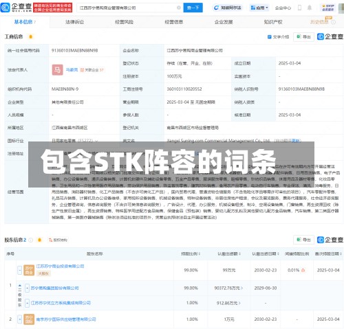包含STK阵容的词条