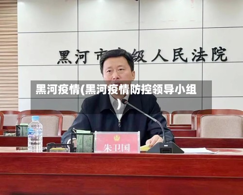 黑河疫情(黑河疫情防控领导小组)-第2张图片