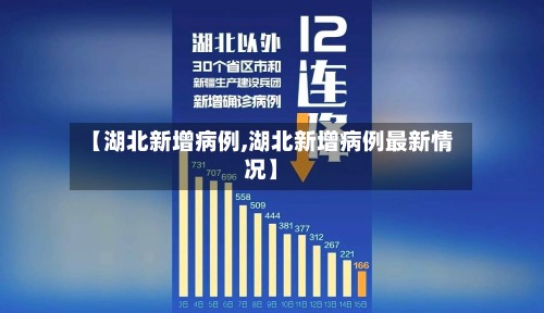 【湖北新增病例,湖北新增病例最新情况】-第2张图片